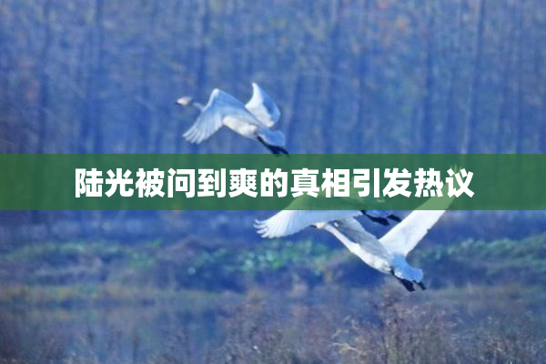 陆光被问到爽的真相引发热议