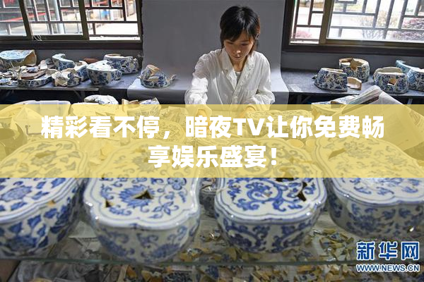 精彩看不停，暗夜TV让你免费畅享娱乐盛宴！