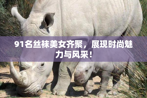 91名丝袜美女齐聚，展现时尚魅力与风采！