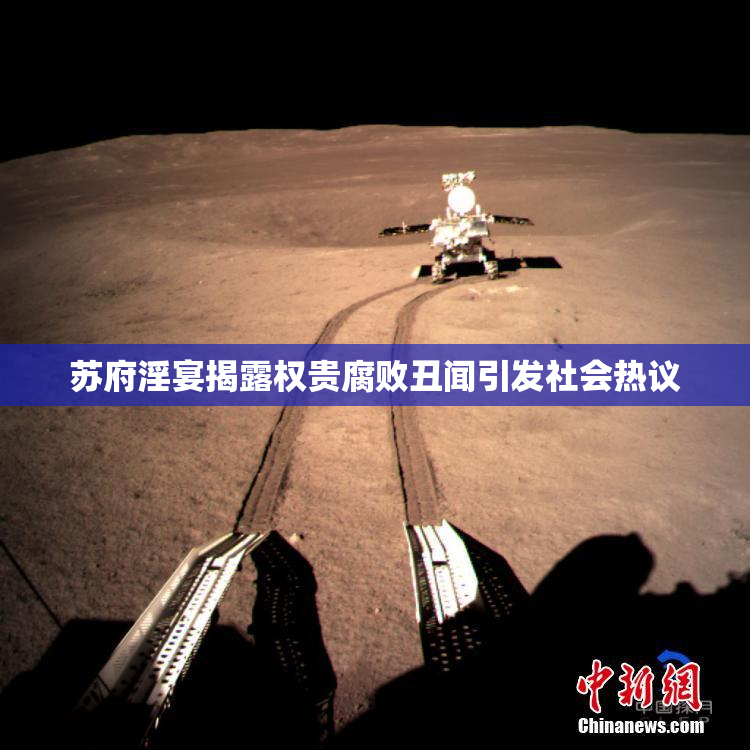 苏府淫宴揭露权贵腐败丑闻引发社会热议