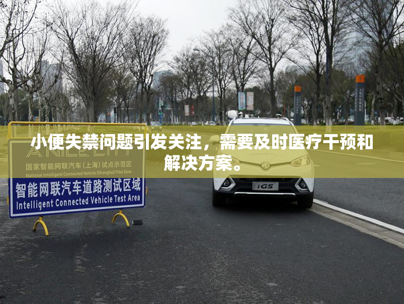 小便失禁问题引发关注，需要及时医疗干预和解决方案。