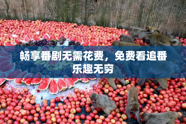 畅享番剧无需花费，免费看追番乐趣无穷
