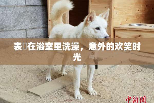 表妺在浴室里洗澡，意外的欢笑时光