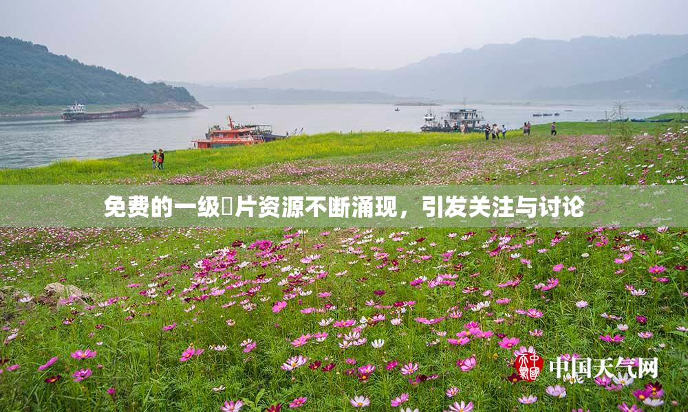 免费的一级婬片资源不断涌现，引发关注与讨论
