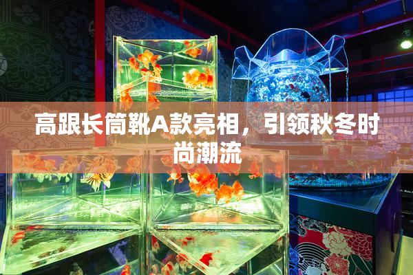 高跟长筒靴A款亮相，引领秋冬时尚潮流