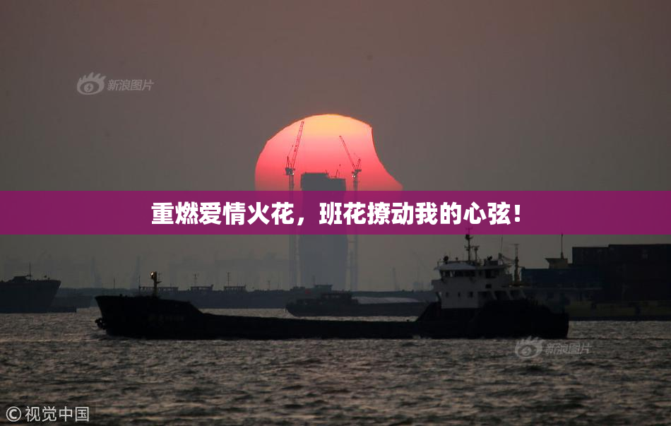 重燃爱情火花，班花撩动我的心弦！