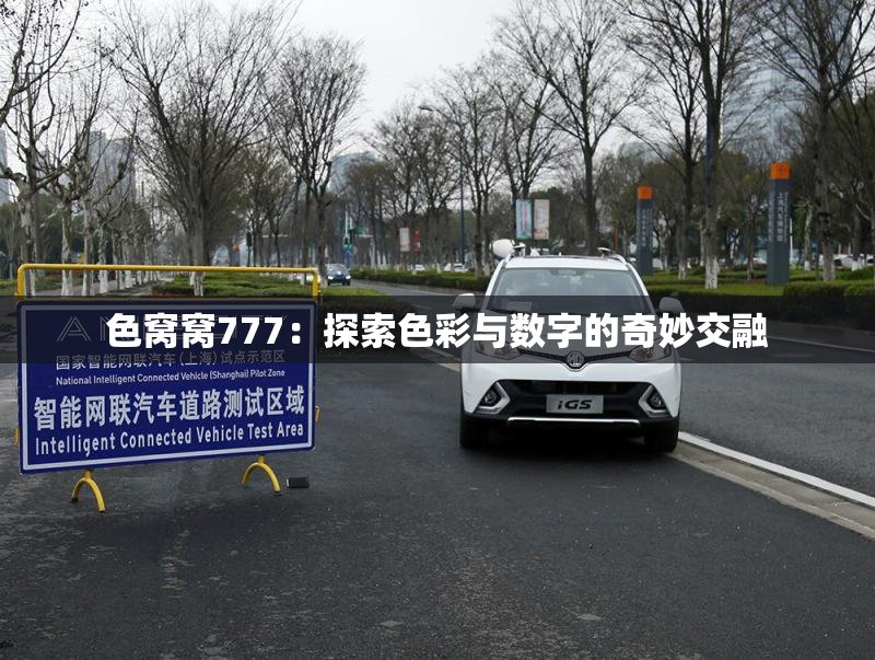 色窝窝777：探索色彩与数字的奇妙交融