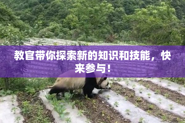 教官带你探索新的知识和技能，快来参与！