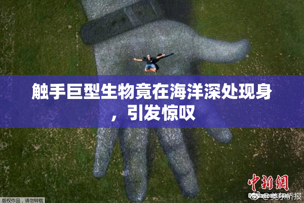 触手巨型生物竟在海洋深处现身，引发惊叹