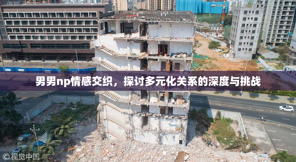 男男np情感交织，探讨多元化关系的深度与挑战