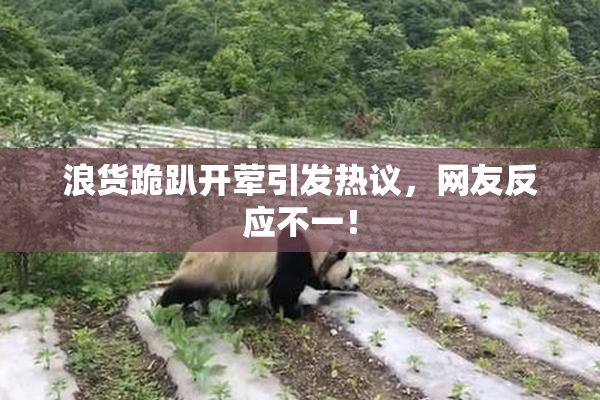 浪货跪趴开荤引发热议，网友反应不一！