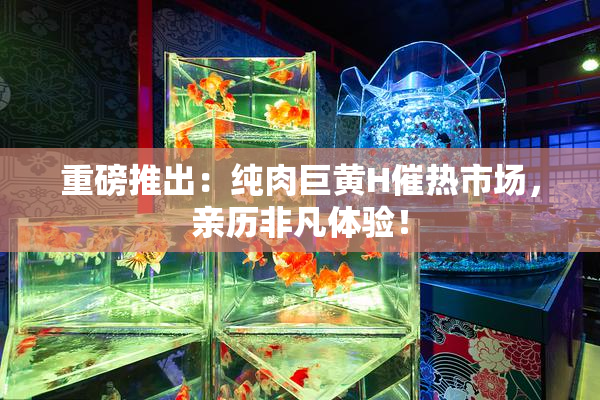 重磅推出：纯肉巨黄H催热市场，亲历非凡体验！