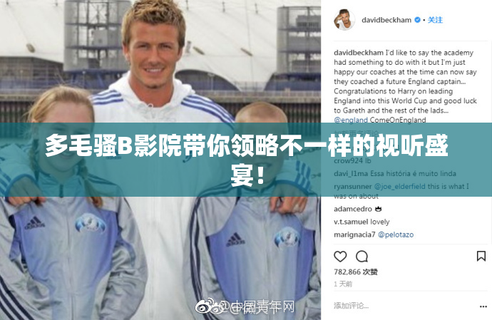 多毛骚B影院带你领略不一样的视听盛宴！