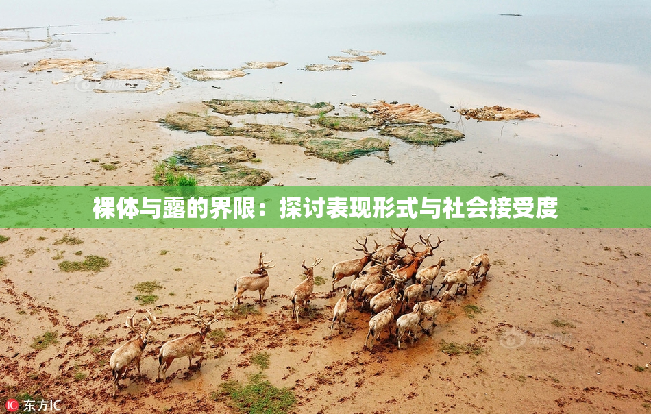 裸体与露的界限：探讨表现形式与社会接受度