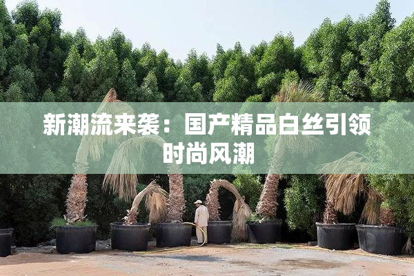 新潮流来袭：国产精品白丝引领时尚风潮