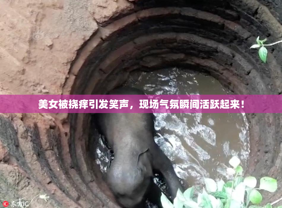 美女被挠痒引发笑声，现场气氛瞬间活跃起来！