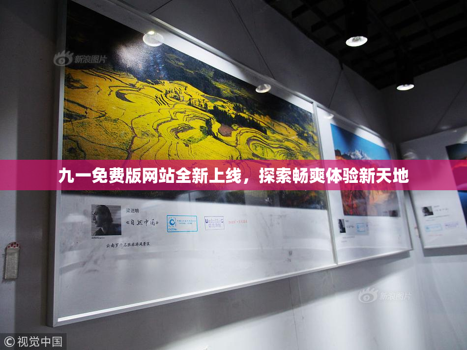 九一免费版网站全新上线，探索畅爽体验新天地