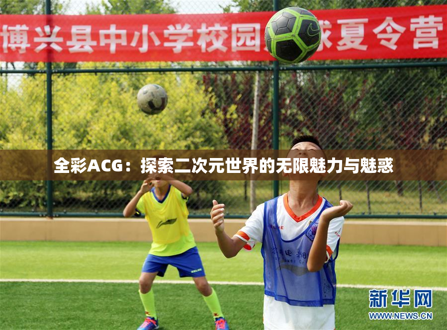 全彩ACG：探索二次元世界的无限魅力与魅惑
