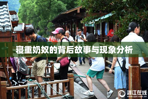 寝重奶奴的背后故事与现象分析