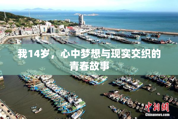 我14岁，心中梦想与现实交织的青春故事