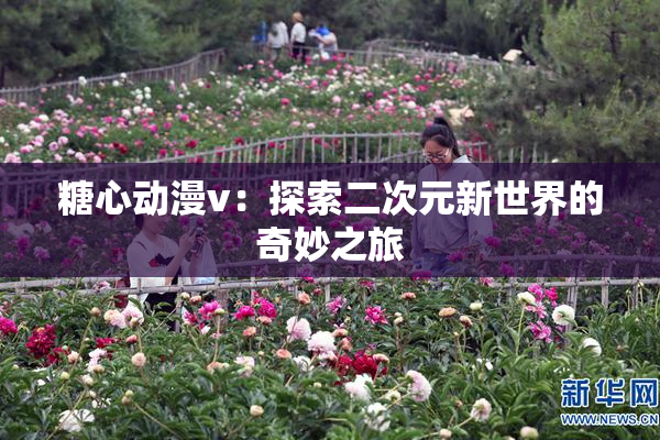 糖心动漫v：探索二次元新世界的奇妙之旅