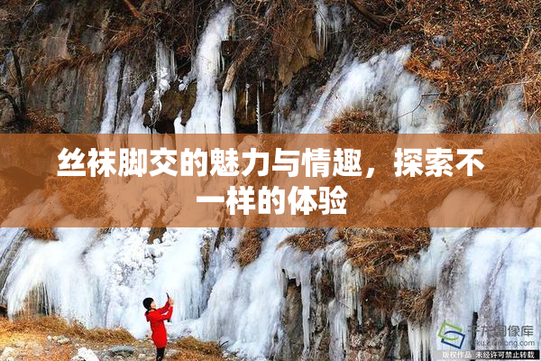 丝袜脚交的魅力与情趣，探索不一样的体验