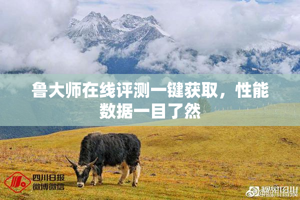 鲁大师在线评测一键获取，性能数据一目了然