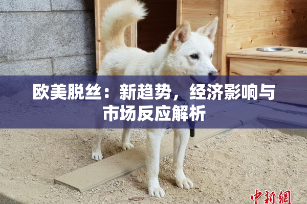 欧美脱丝：新趋势，经济影响与市场反应解析