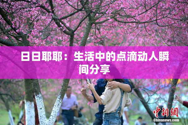 日日耶耶：生活中的点滴动人瞬间分享