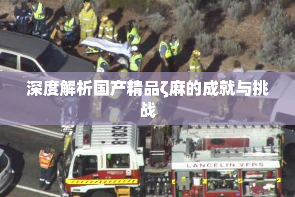 深度解析国产精品ζ麻的成就与挑战