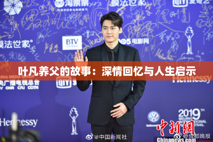 叶凡养父的故事：深情回忆与人生启示