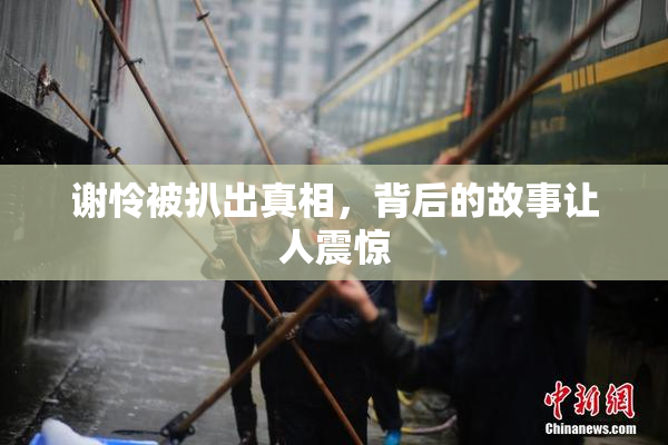 谢怜被扒出真相，背后的故事让人震惊