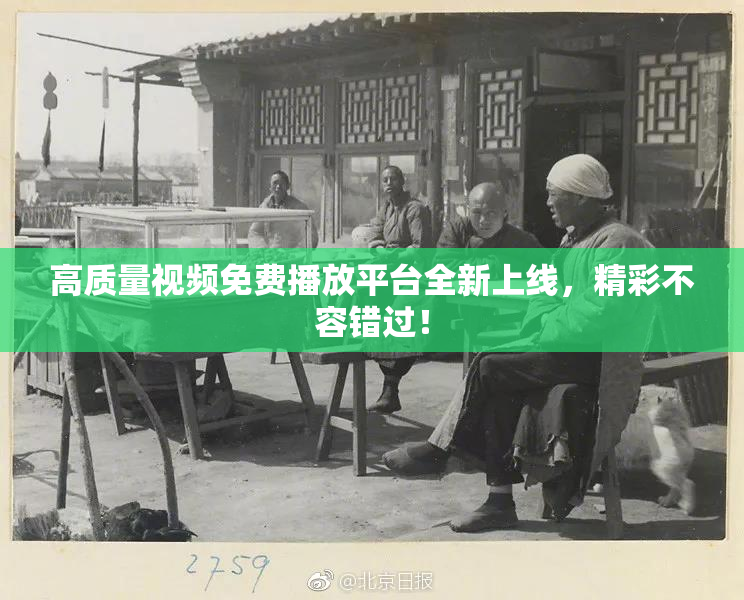 高质量视频免费播放平台全新上线，精彩不容错过！