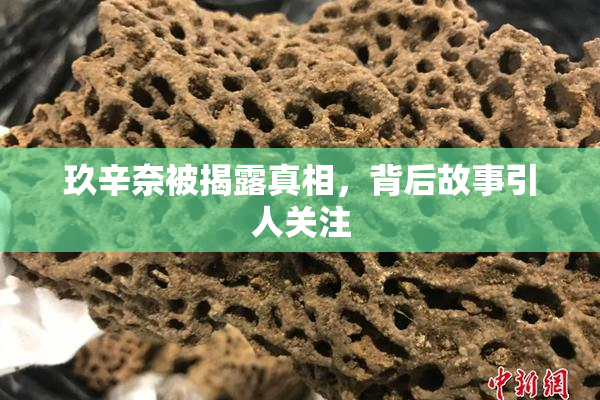 玖辛奈被揭露真相，背后故事引人关注