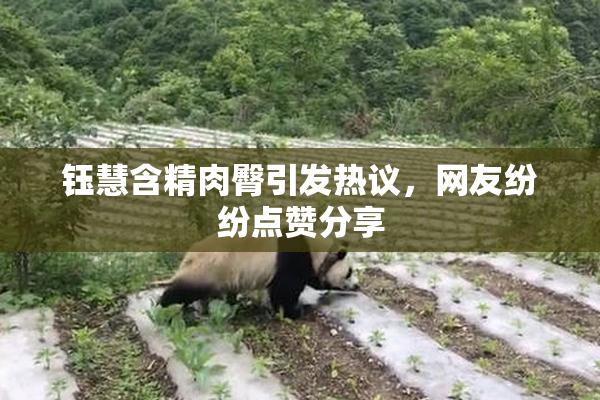 钰慧含精肉臀引发热议，网友纷纷点赞分享