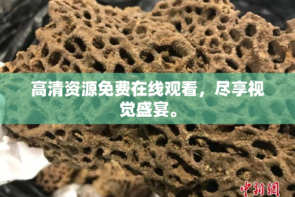 高清资源免费在线观看，尽享视觉盛宴。