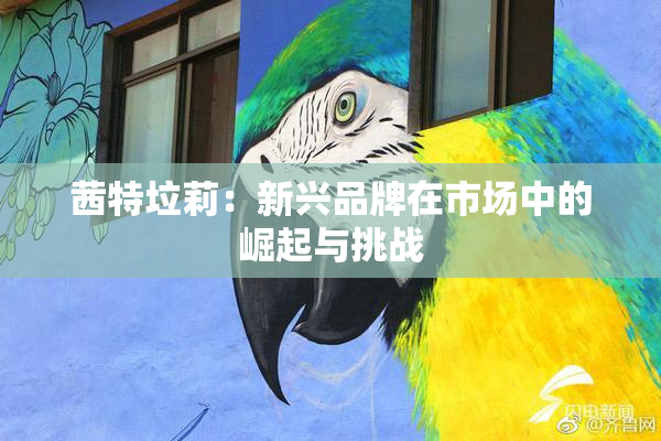 茜特垃莉：新兴品牌在市场中的崛起与挑战