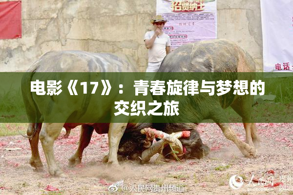 电影《17》：青春旋律与梦想的交织之旅