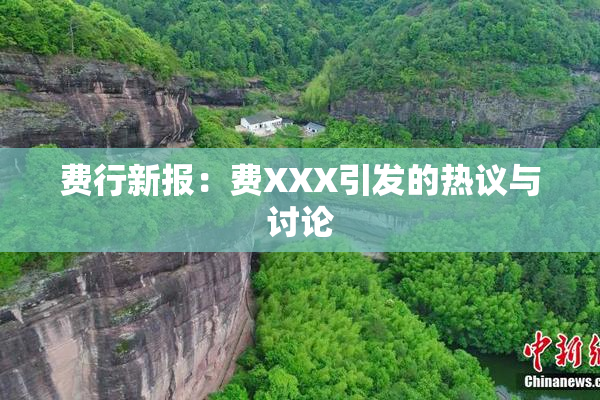 费行新报：费XXX引发的热议与讨论