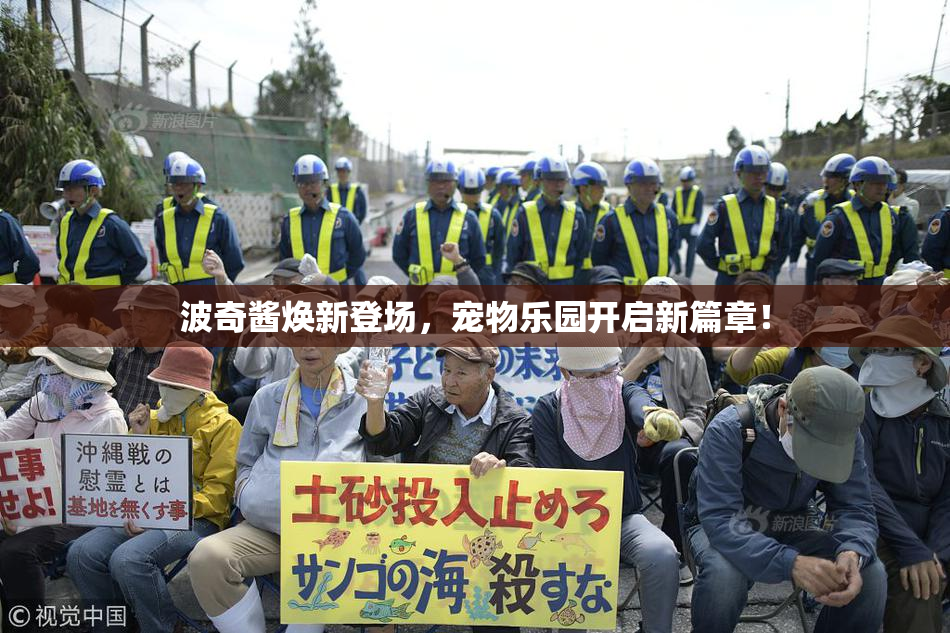 波奇酱焕新登场，宠物乐园开启新篇章！