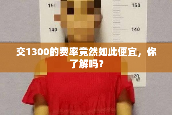 交1300的费率竟然如此便宜，你了解吗？