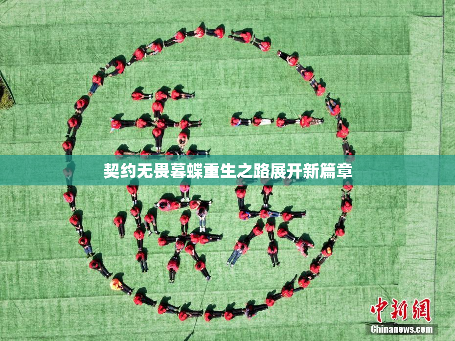 契约无畏暮蝶重生之路展开新篇章