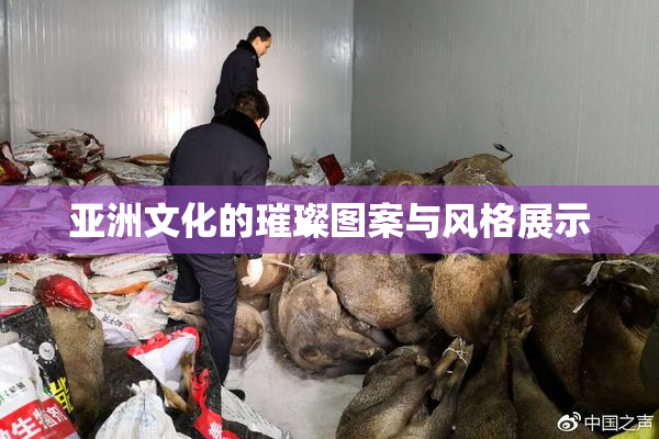 亚洲文化的璀璨图案与风格展示
