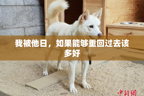 我被他日，如果能够重回过去该多好