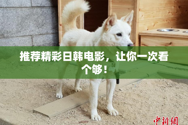 推荐精彩日韩电影，让你一次看个够！