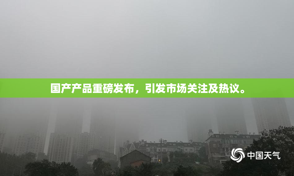 国产产品重磅发布，引发市场关注及热议。