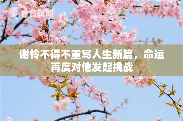 谢怜不得不重写人生新篇，命运再度对他发起挑战