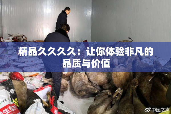 精品久久久久：让你体验非凡的品质与价值