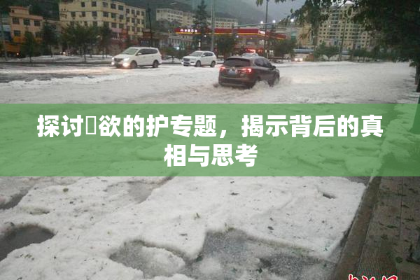 探讨婬欲的护专题，揭示背后的真相与思考