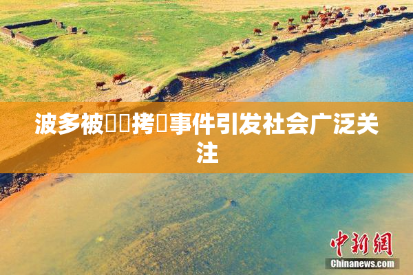 波多被緊縛拷問事件引发社会广泛关注